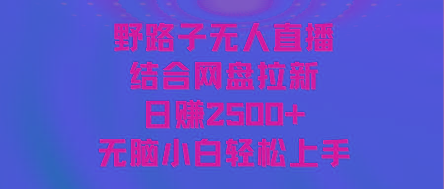 无人直播野路子结合网盘拉新，日赚2500+多平台变现，小白无脑轻松上手操作-云创网