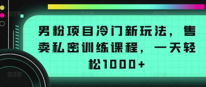 男粉项目冷门新玩法，售卖私密训练课程，一天轻松1000+【揭秘】网赚项目-副业赚线-互联网创业-资源整合易创网