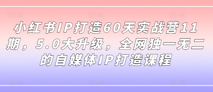小红书IP打造60天实战营11期，5.0大升级，全网独一无二的自媒体IP打造课程-易创网