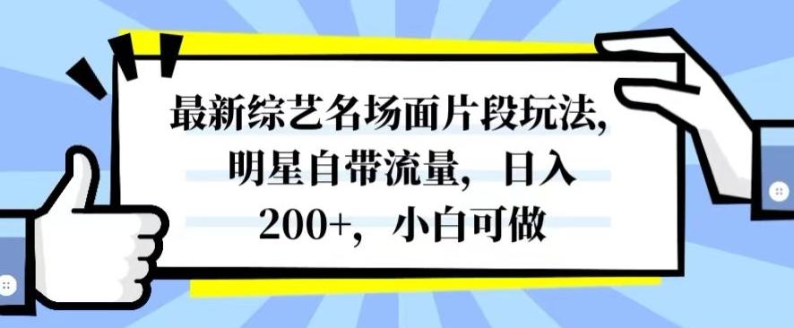 最新综艺名场面片段玩法，明星自带流量，日入200+，小白可做【揭秘】-易创网