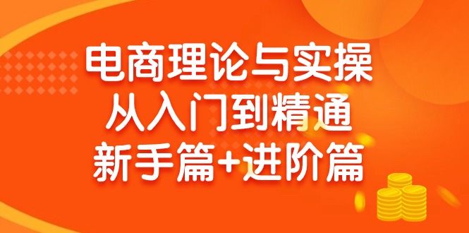 (9576期)电商理论与实操从入门到精通 新手篇+进阶篇网赚项目-副业赚线-互联网创业-资源整合易创网