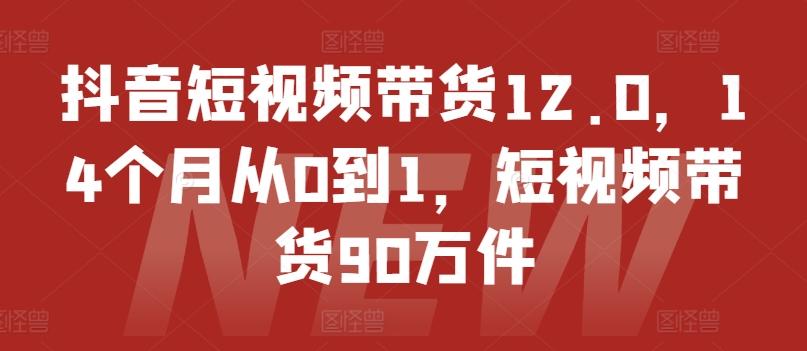 抖音短视频带货12.0，14个月从0到1，短视频带货90万件-易创网