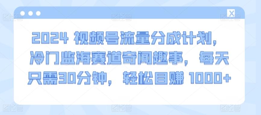 2024视频号流量分成计划，冷门监海赛道奇闻趣事，每天只需30分钟，轻松目赚 1000+【揭秘】-易创网