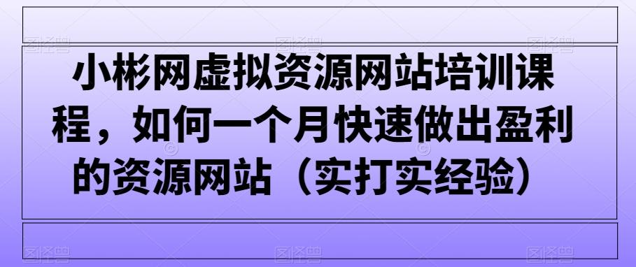 小彬网虚拟资源网站培训课程，如何一个月快速做出盈利的资源网站(实打实经验)-易创网
