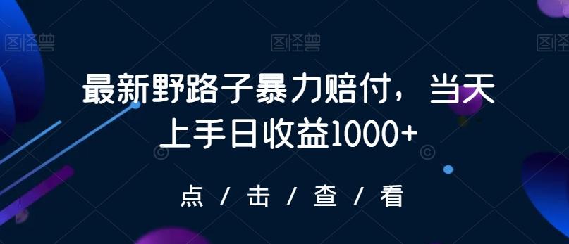 最新野路子暴力赔付，当天上手日收益1000+【仅揭秘】网赚项目-副业赚线-互联网创业-资源整合易创网