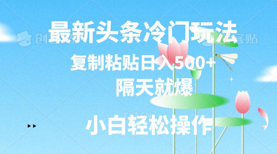 最新头条冷门玩法，隔天就爆，复制粘贴日入500+-云创网