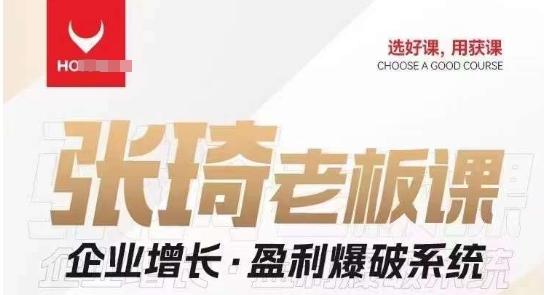 【组合课】张琦张琦老板企业增长·盈利爆破系统（直播专享）-云创网