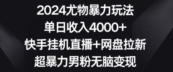 2024尤物暴力玩法，单日收入4000+，快手挂机直播+网盘拉新，超暴力男粉无脑变现【揭秘】-云创网