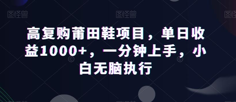 高复购莆田鞋项目，单日收益1000+，一分钟上手，小白无脑执行-易创网