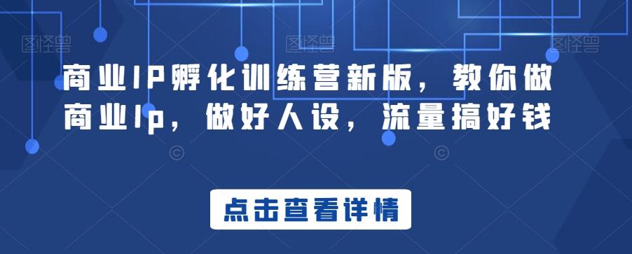 商业IP孵化训练营新版，教你做商业Ip，做好人设，流量搞好钱-易创网