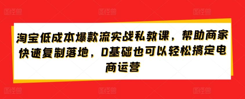 淘宝低成本爆款流实战私教课，帮助商家快速复制落地，0基础也可以轻松搞定电商运营-易创网