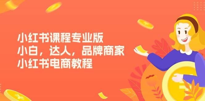 小红书课程专业版，小白，达人，品牌商家，小红书电商教程(15节-易创网