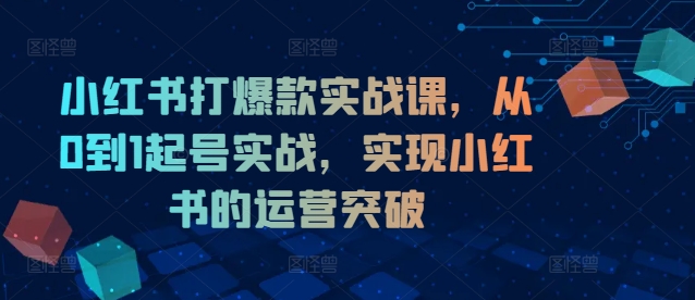 小红书打爆款实战课，从0到1起号实战，实现小红书的运营突破网赚项目-副业赚线-互联网创业-资源整合易创网