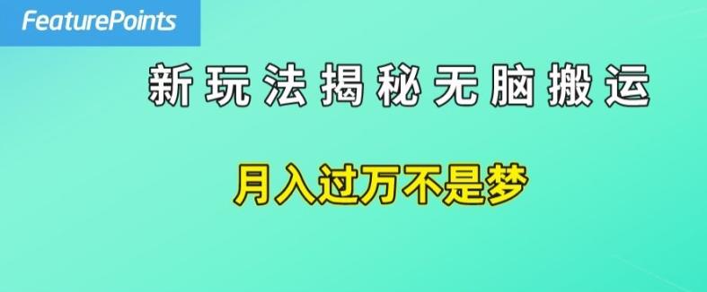 简单操作，每天50美元收入，搬运就是赚钱的秘诀【揭秘】-易创网