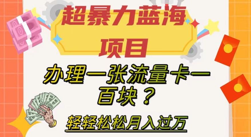超暴力蓝海项目，办理一张流量卡一百块？轻轻松松月入过万，保姆级教程【揭秘】-易创网