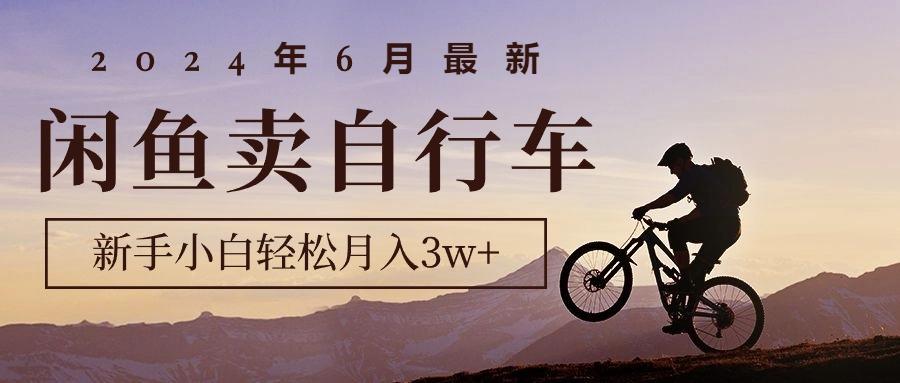 2024年6月最新闲鱼卖自行车，新手小白轻松月入3w+项目-易创网