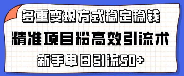 精准项目粉高效引流术，新手单日引流50+，多重变现方式稳定赚钱【揭秘】网赚项目-副业赚线-互联网创业-资源整合易创网