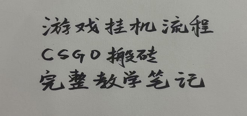 游戏挂机全流程笔记分享，CSGO游戏搬砖，小白看了当天学会见收益-易创网