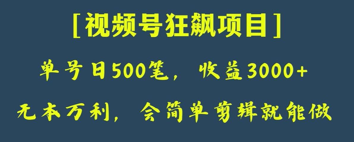 日收款500笔，纯利润3000+，视频号狂飙项目，会简单剪辑就能做【揭秘】-云创网