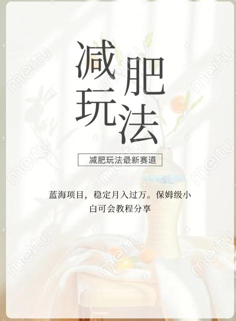 减肥流量主新玩法，轻松月入1W，可矩阵操作收入翻倍-易创网