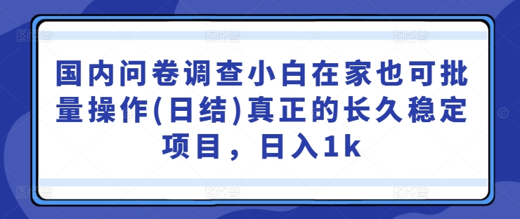 国内问卷调查小白在家也可批量操作(日结)真正的长久稳定项目，日入1k【揭秘】-易创网