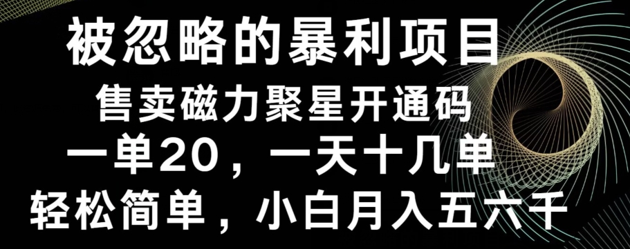 被忽略的暴利项目！售卖磁力聚星开通码，一单20，一天十几单，轻松月入五六千网赚项目-副业赚线-互联网创业-资源整合易创网