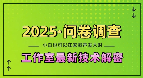 2025问卷调查最新工作室技术解密：一个人在家也可以闷声发大财，小白一天2张，可矩阵放大【揭秘】-易创网