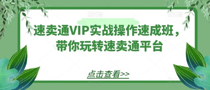 速卖通VIP实战操作速成班，带你玩转速卖通平台-易创网