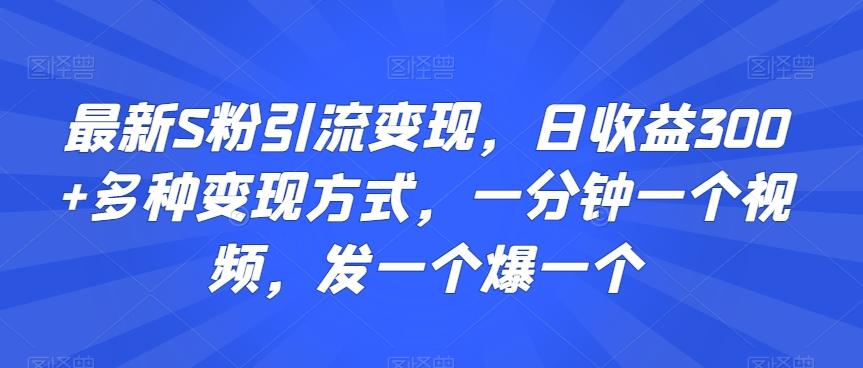 最新S粉引流变现，日收益300+多种变现方式，一分钟一个视频，发一个爆一个【揭秘】网赚项目-副业赚线-互联网创业-资源整合易创网