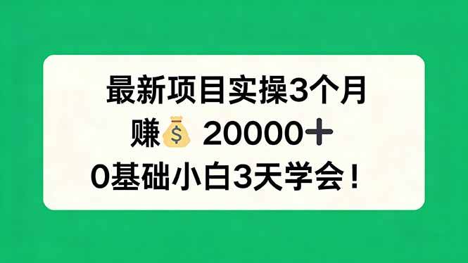 （17856期）最新项目实操3个月，赚钱20000+，0基础小白3天学会！-易创网