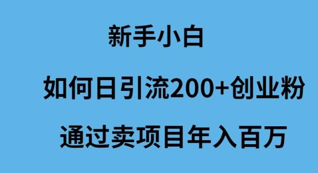 (9668期)新手小白如何日引流200+创业粉通过卖项目年入百万网赚项目-副业赚线-互联网创业-资源整合易创网