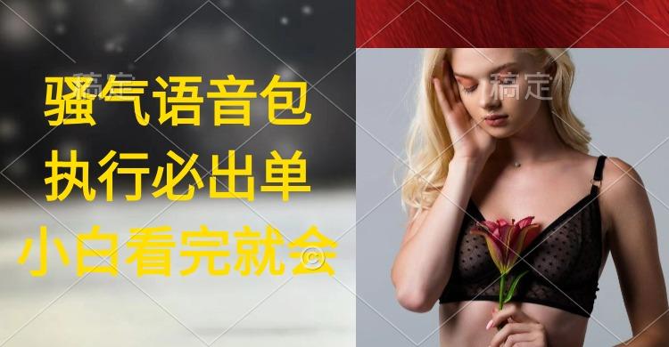 (9589期)执行就出单，日入2000+，超火骚气语音包，小白看完课程就能马上实操-易创网