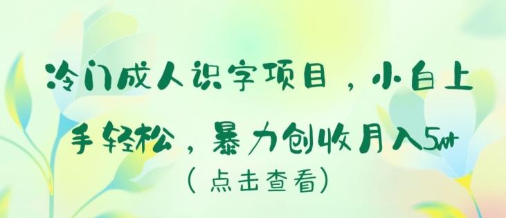 冷门成人识字项目，小白上手轻松，暴力创收月入5w+【揭秘】网赚项目-副业赚线-互联网创业-资源整合易创网