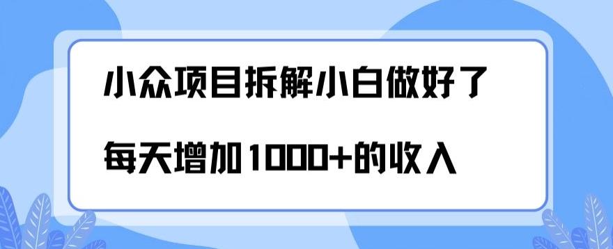小众项目拆解，小白做好了每天可增加1000多的收入网赚项目-副业赚线-互联网创业-资源整合易创网