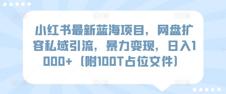 小红书最新蓝海项目，网盘扩容私域引流，暴力变现，日入1000+(附100T占位文件)【揭秘】网赚项目-副业赚线-互联网创业-资源整合易创网