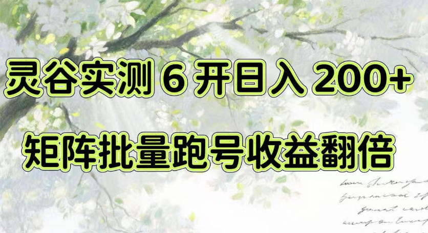 一台电脑就能做！灵谷实测6开日入200+，矩阵批量跑号收益翻倍【揭秘】-易创网