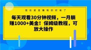 每天观看30分钟视频，一月躺赚1000+美金！保姆级教程，可放大操作【揭秘】-易创网