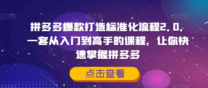 拼多多爆款打造标准化流程2.0，一套从入门到高手的课程，让你快速掌握拼多多-易创网