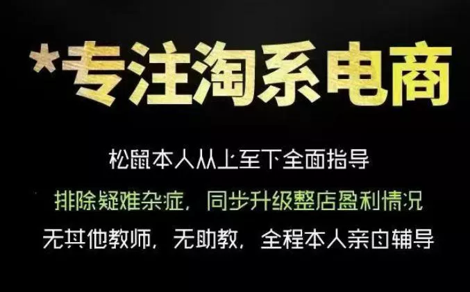 松鼠会电商VIP课程，从基础布局到高阶优化，助你掌握淘宝运营逻辑，提升店铺流量与转化(更新0809)-易创网