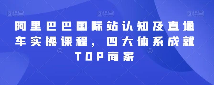 阿里巴巴国际站认知及直通车实操课程，四大体系成就TOP商家网赚项目-副业赚线-互联网创业-资源整合易创网