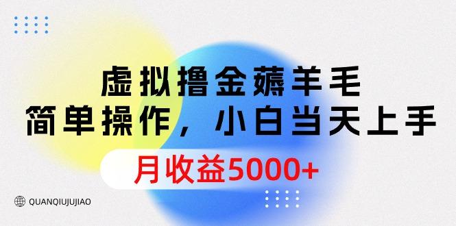 (9864期)虚拟撸金薅羊毛，简单操作，小白当天上手，月收益5000+-云创网