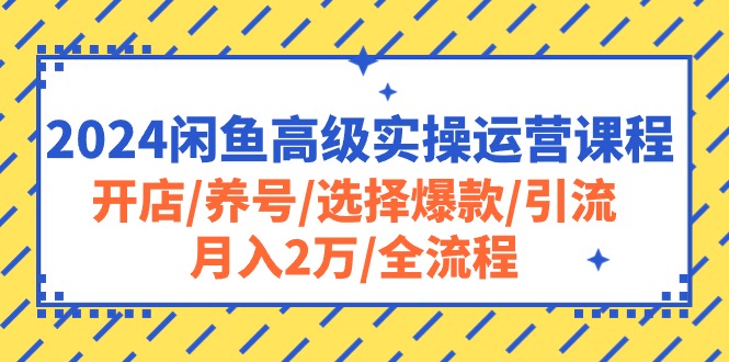 （10711期）2024闲鱼高级实操运营课程：开店/养号/选择爆款/引流/月入2万/全流程-易创网