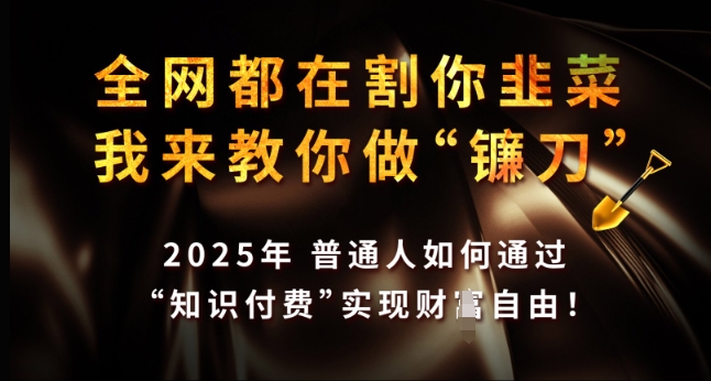 全网都在割你韭菜，我来教你做镰刀，2025年普通人如何通过 知识付费 实现财F自由【揭秘】-易创网