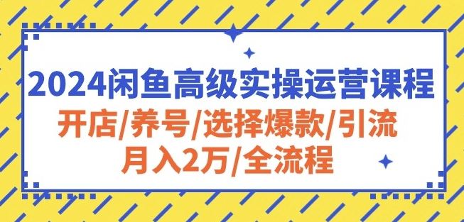 2024闲鱼高级实操运营课程：开店/养号/选择爆款/引流/月入2万/全流程-易创网