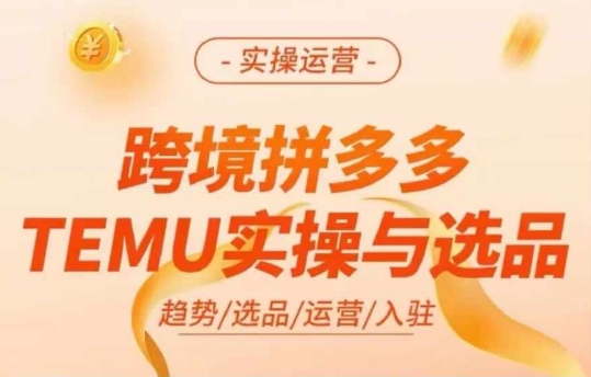 跨境拼多多TEMU实操与选品，多多temu跨境选品运营实操-易创网