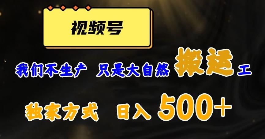 视频号轻松搬运日赚500+，一个1分钟1条原创视频【揭秘】-云创网