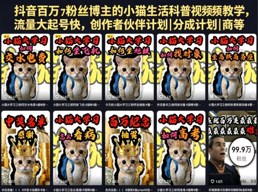 抖音百万粉丝博主的小猫生活科普视频教学，流量大起号快，创作者伙伴计划|分成计划|商单|收徒等-易创网