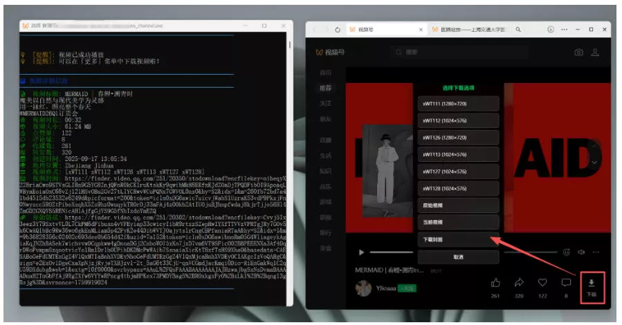 Github热门工具，视频号下载神器又来了！一键注入下载按钮，轻松下载，使用便捷wx_channel-易创网