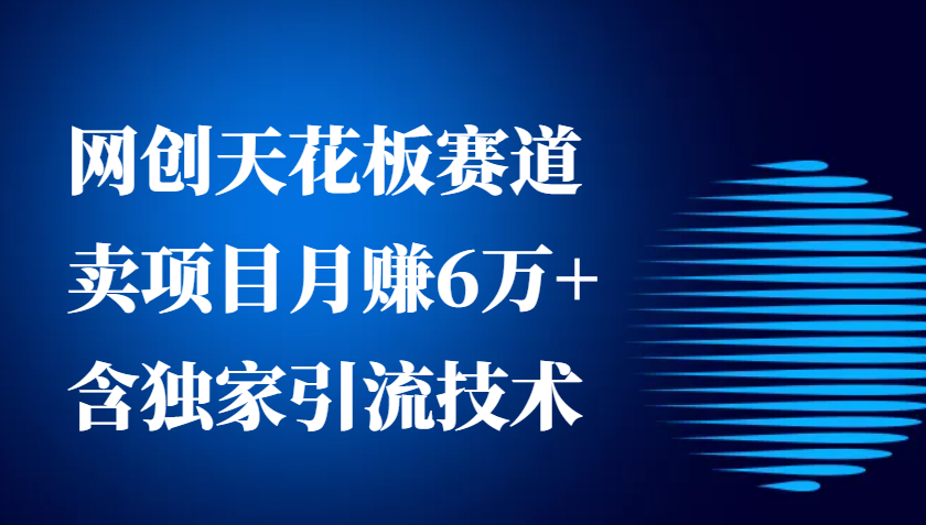 网创天花板赛道，卖项目月赚6万+，含独家引流技术(共26节课)网赚项目-副业赚线-互联网创业-资源整合易创网