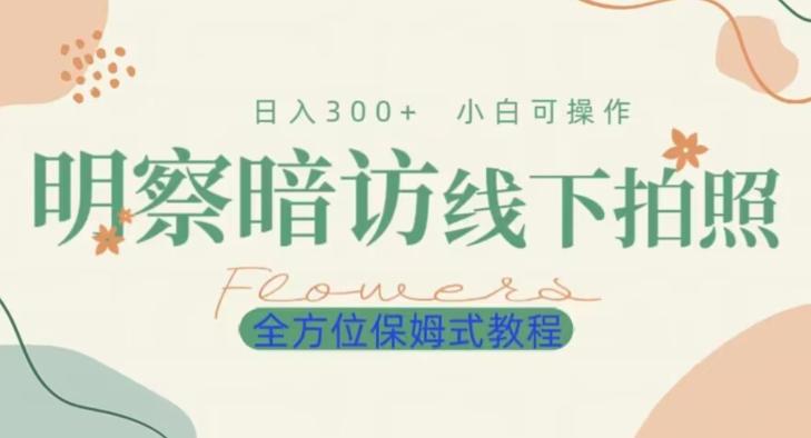 明拍暗拍项目0成本投入日入300+小白可操作保姆式全方位教程-易创网